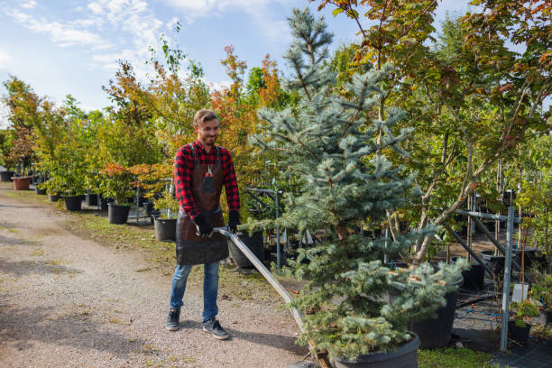 Best Tree Mulching  in Bowling Green, FL